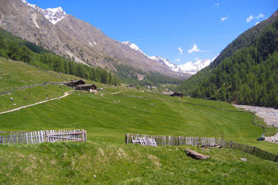 Nassreidhof