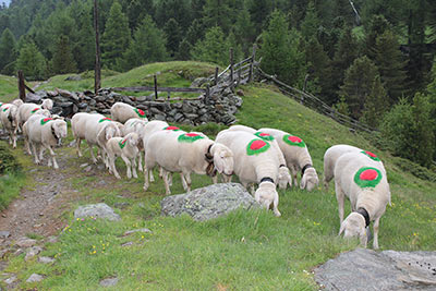 Nassreidhof
