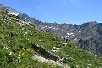Nassreidhof