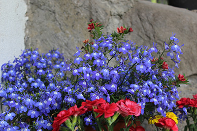 Zimmer Sommertraum