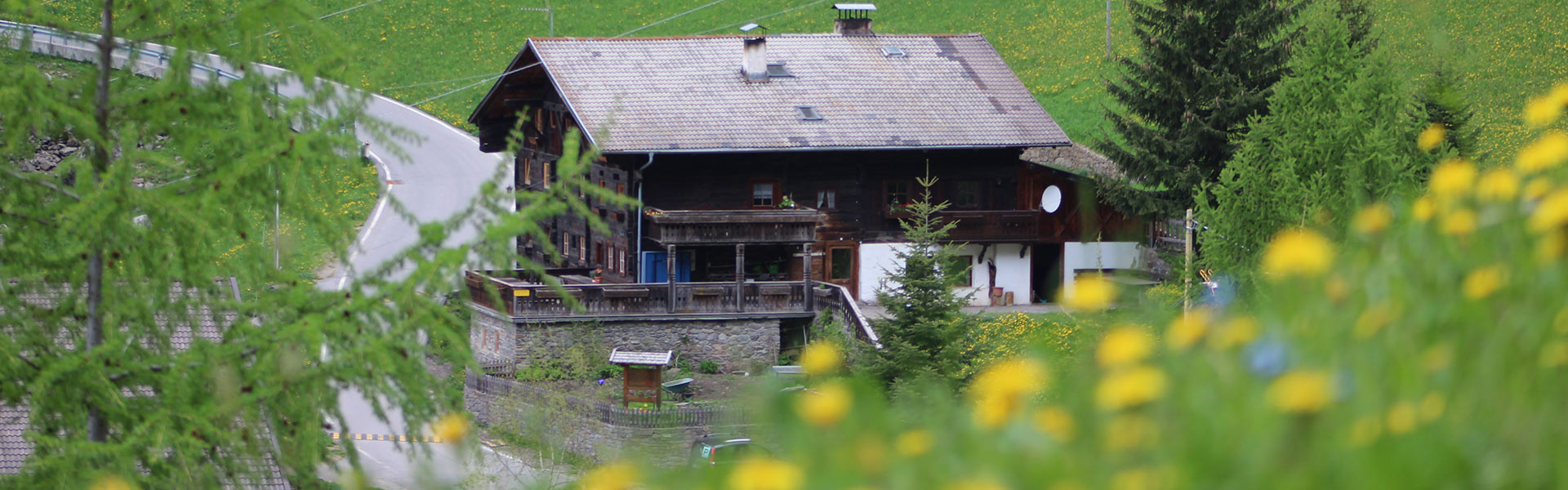 Frühling am Nassreidhof