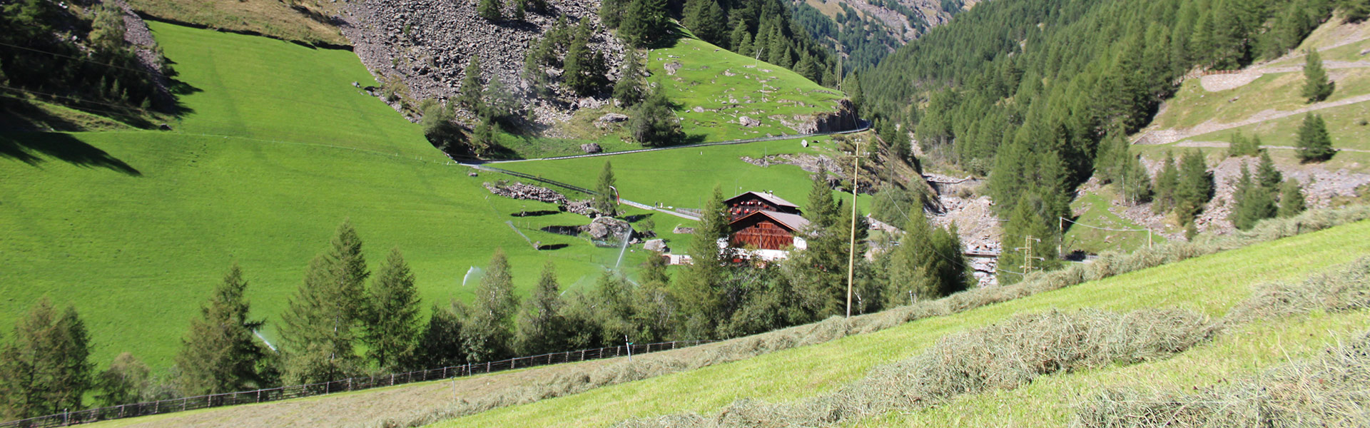Nassreidhof